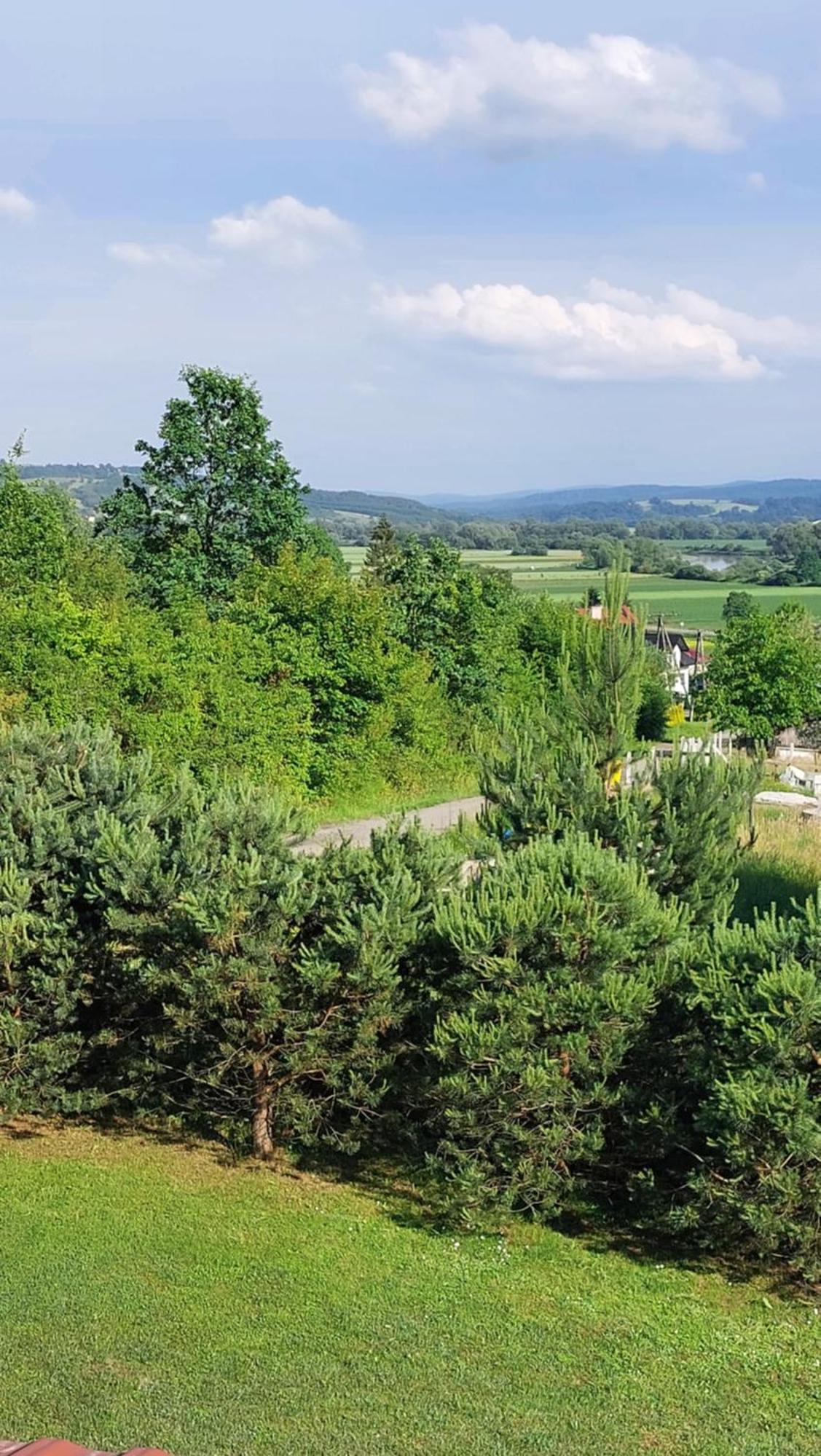 Ruszelczyce Dom Nad Dolina Sanuヴィラ エクステリア 写真